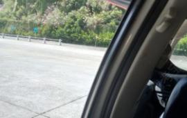 淳安梦之岛驾校